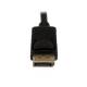 Startech.com DP2DVIMM3BS