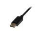 Startech.com DP2DVIMM3BS