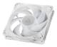 Arctic ACFAN00318A