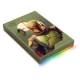 Seagate STKL2000406