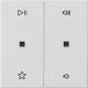 GIRA 538403 Wippe 2f Audiostrg System 55 Reinweiß