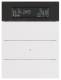 Berker 75663599 Tastsensor 3-fach mit Raumtemperatur-Regler und Display B.IQ