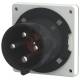 Mennekes 824 mounting plug 63 A 4p 7h 500 V IP44
