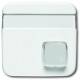 Busch Jaeger 2CKA001582A0345 BJ 1571CN-214 central switch. Busch-Infoline actuation button alpine white