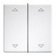 Eltako DW-FT55-rw+2P double rocker laser engraved button and switch 30000986
