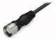 WAGO 756-3203/190-050 Assemblies 756-3203 / 190-050 Connection Cable, axial 19p 5m unilaterally