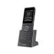 Fanvil W611W V2