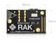 RAK Wireless 110006