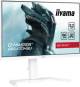 Iiyama GB2470HSU-W6