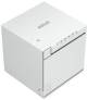 Epson C31CK50111A0