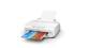 Epson C11CK89402