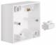 Berker 10411909 AP housing 1X 10,411,909, B.1 polar white