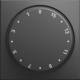 Busch Jaeger 2CKA001753A0101 1770-915-102 Zentralscheibe mit Drehknopf mit Aufdruck 15 Min