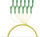 LWL-Pigtail-E2000 (APC 8Grad), 9/125u, 2mtr.Monomode
