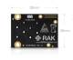 RAK Wireless 100003