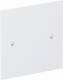 OBO Bettermann 6109843 OBO VH-P1 RW blind cover plate 95x95mm pure white 