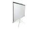 Elite Screens T71NWS1