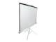 Elite Screens T71NWS1