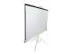 Elite Screens T71NWS1