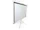 Elite Screens T71NWS1