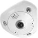 LevelOne FCS-3095 IPCam Fisheye Dome In 12MP/H.265/IR/12W/PoE/IP67