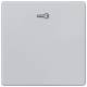 Siemens 5TG6248 DELTA i-system alumet. toggle switch with symbol door opener for push button