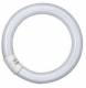 Osram fluorescent lamp L32W/840C ring shape bright white