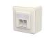 Btr Blumberger 130D380002-I E-DAT Cat6A IDC 2 Port AP reinweiß