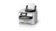 Epson C11CK23401BM