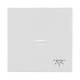 Busch Jaeger 2CKA001751A3031