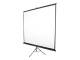 Elite Screens T120NWV1