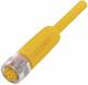 Balluff BCC M418-0000-1A-069-PX4825200-C033 Steckverbinder BCC0J18