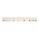 ABB PSX1/24N Phasenschiene FlexLine 1P+N 24Pins 12 TE 10qmm 2CDL210180R1024