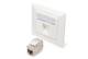 DIGITUS Front plate 50x50 central plate RAL9003 with 1x DN-93615-S Keystone Modul