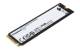 Kingston SFYRS/500G