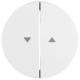 Berker 16252089 rocker with imprint symbol arrow R.1/R.3 polar white glossy