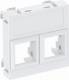 OBO Bettermann 6119306 OBO DTG-02LE SWGR1 data technology carrier for 2 connection modules type LE 45x45mm