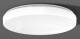 RZB 312085.002.1 Wand-Deckenleuchte LED/21W-3000K D360 H65 PMMA 1900lm