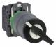 Schneider Electric XB5AG41C0 Schneider Schlüsselschalter, komplett,2-Positionen 22mm