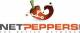 NetPeppers LWL Glasfaser, FIBER PRO OTDR, zbh.Ersatz Touch-Eingabestift