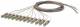 BTR 150N1MO0020E OpDAT Pigtail E2000-PC OM4 12Farben 2,0m Multimodefaser G50/125