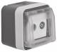 Berker 12033515 Aerial socket 2Loch, Single Dose W.1 light gray