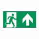 CEAG PIKTOGRAMM PO ISO 7010 STYLE Scheibe PO gesiebt 40071354138