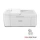 CANON PIXMA TR4751i MFP colour ink-jet A4 210x297mm A4 6.4ppm copy 8.8 ipm print 100 sheets USB 2.0 Wi-Fi white