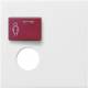 GIRA 022703 Abdeckung 73073E/E3/73075A System 55 Ackermann Reinweiß