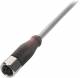 Balluff BCC S415-0000-1A-004-PX0334-200 Steckverbinder/Verbindgs.kabel BCC0E83