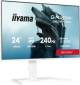 Iiyama GB2471HSU-W1