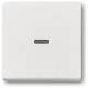 Busch Jaeger 2CKA001751A3153 BJ 1789 N-884 rocker studio white matt future linear cover