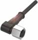 Balluff BCC S42500001A008PX8434200C002 Steckverbinder/Verbindgs.kabel BCC0E86