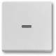 Busch Jaeger 2CKA001751A3149 BJ 1789 N-83 rocker aluminum silver future linear cover for switch/button